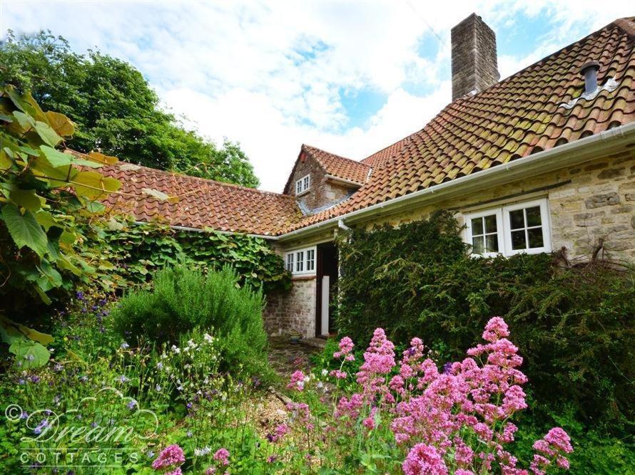 Sixpenny Cottage Upwey Exterior photo